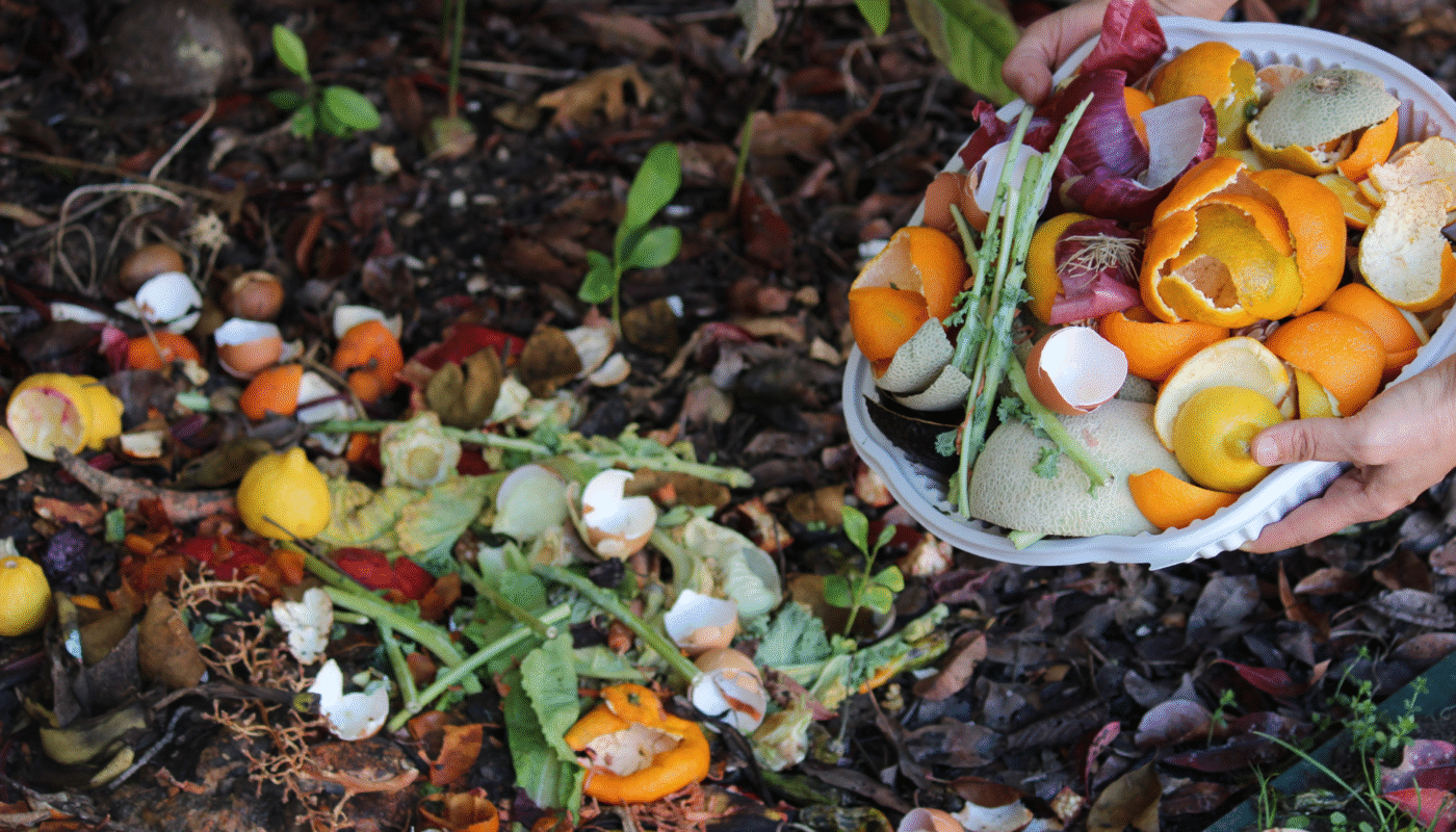 Composting Orange Peels