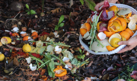 Composting Orange Peels