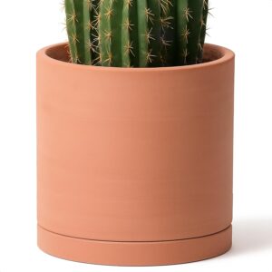 D'vine Dev X-Large 12 Inch Terracotta Plant Pot