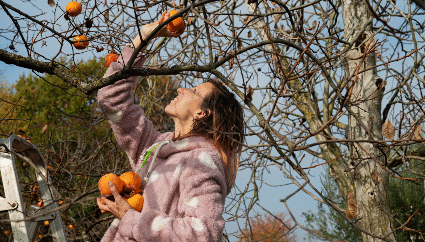 7 Longest-Living Fruit Trees to Grow in Your Garden