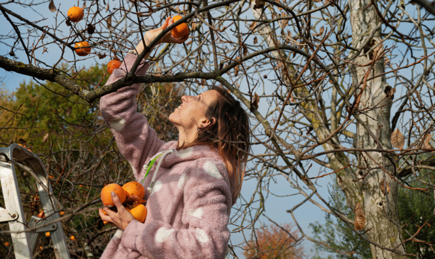 7 Longest-Living Fruit Trees to Grow in Your Garden for a Lifetime of Produce