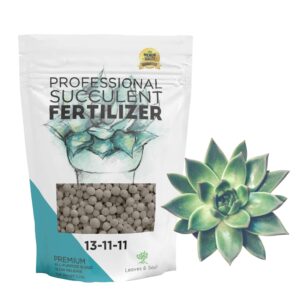 Succulent Fertilizer Pellets