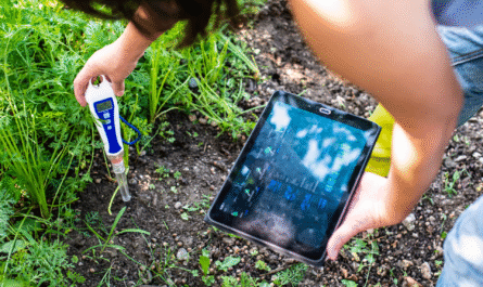 7 Reasons Why Soil Testing Is a Must Before Planting to Avoid Expensive Mistakes