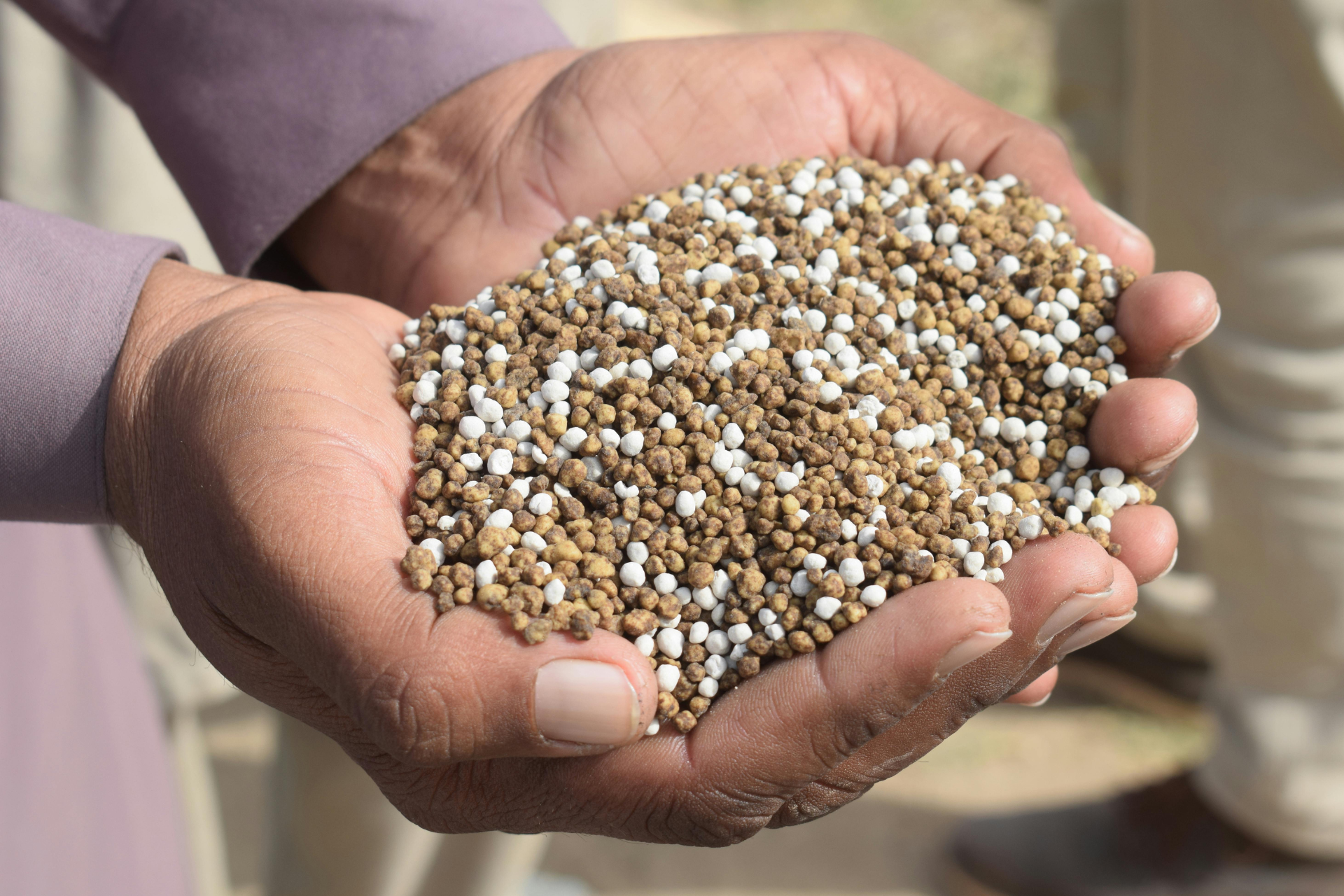 Adding phosphorus to your soil