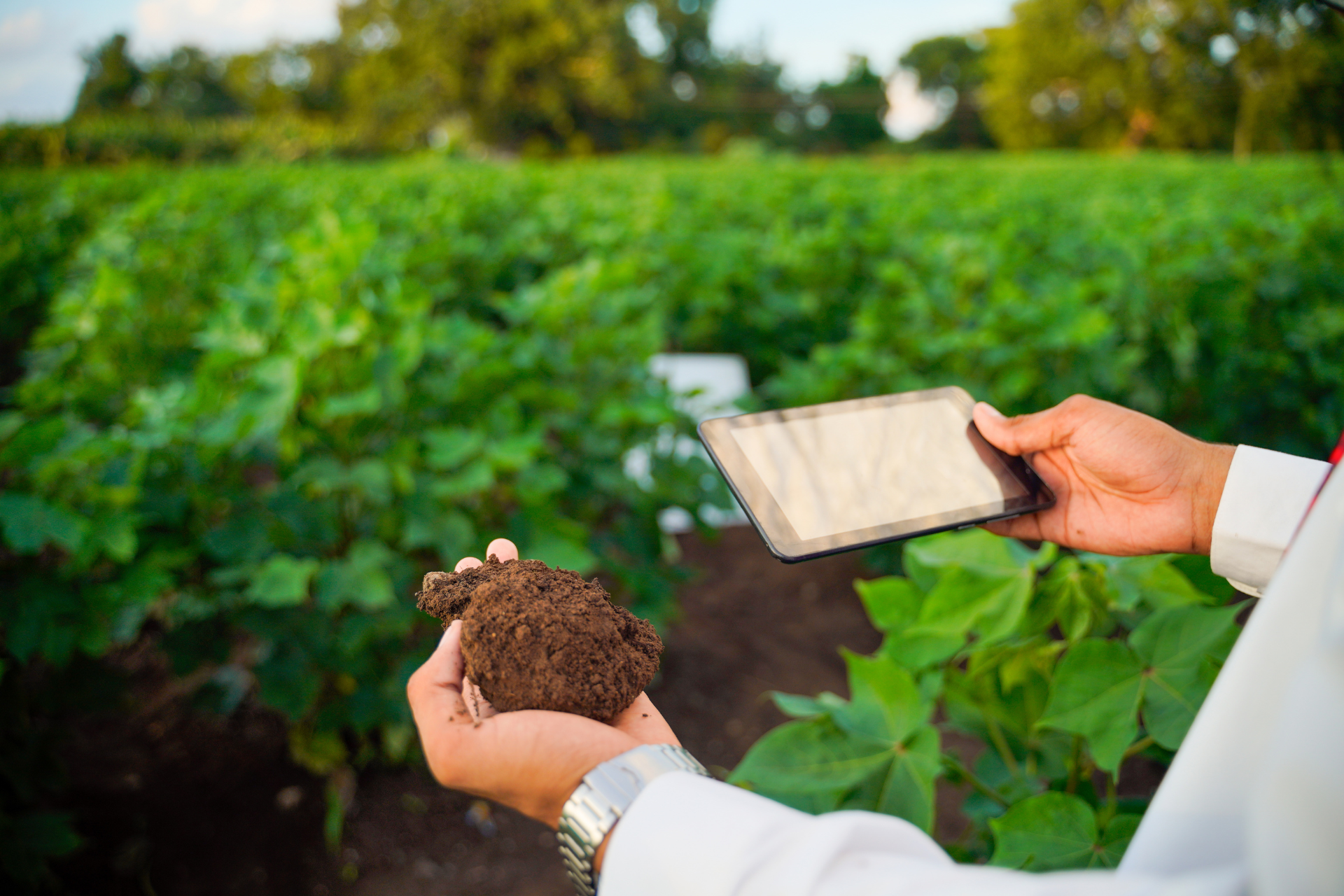 Advantages of soil testing