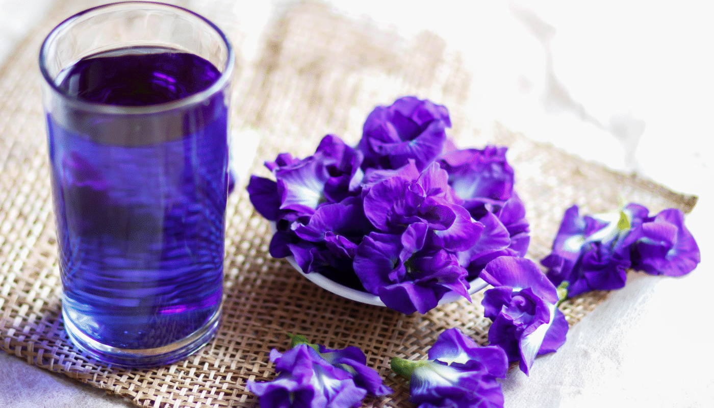 Butterfly Pea Flower