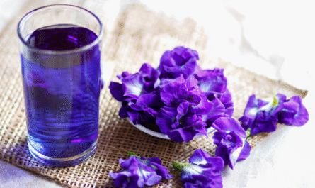 Butterfly Pea Flower
