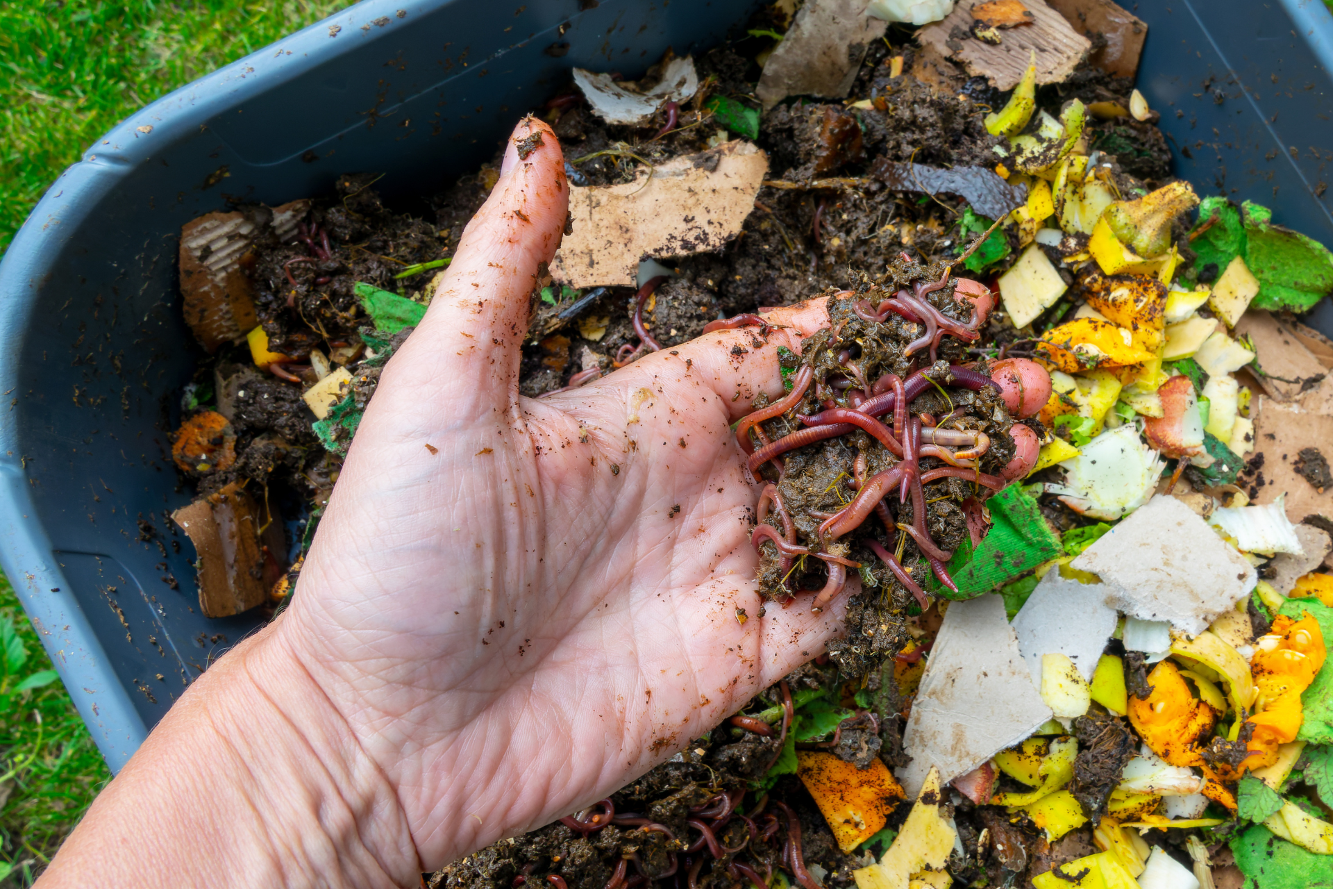 Compost improves soil texture