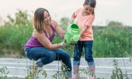 How Often Should You Be Watering Your Tomatoes