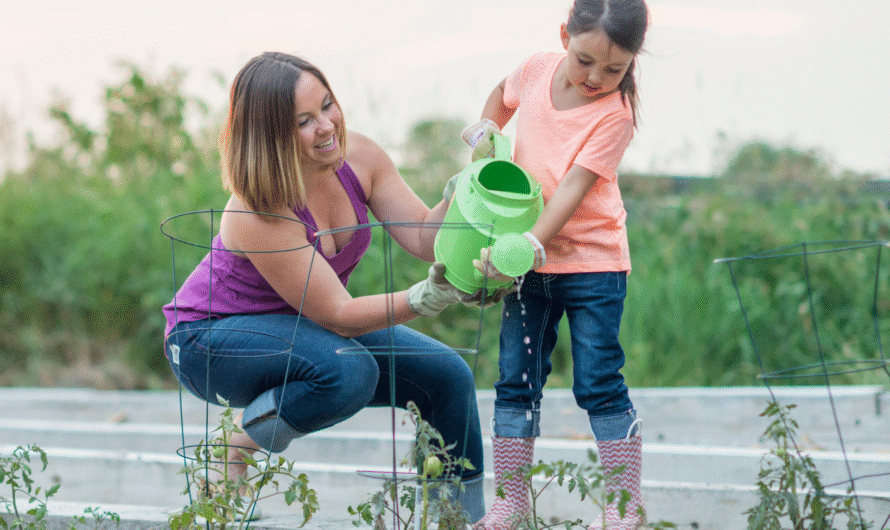 How Often Should You Be Watering Your Tomatoes?