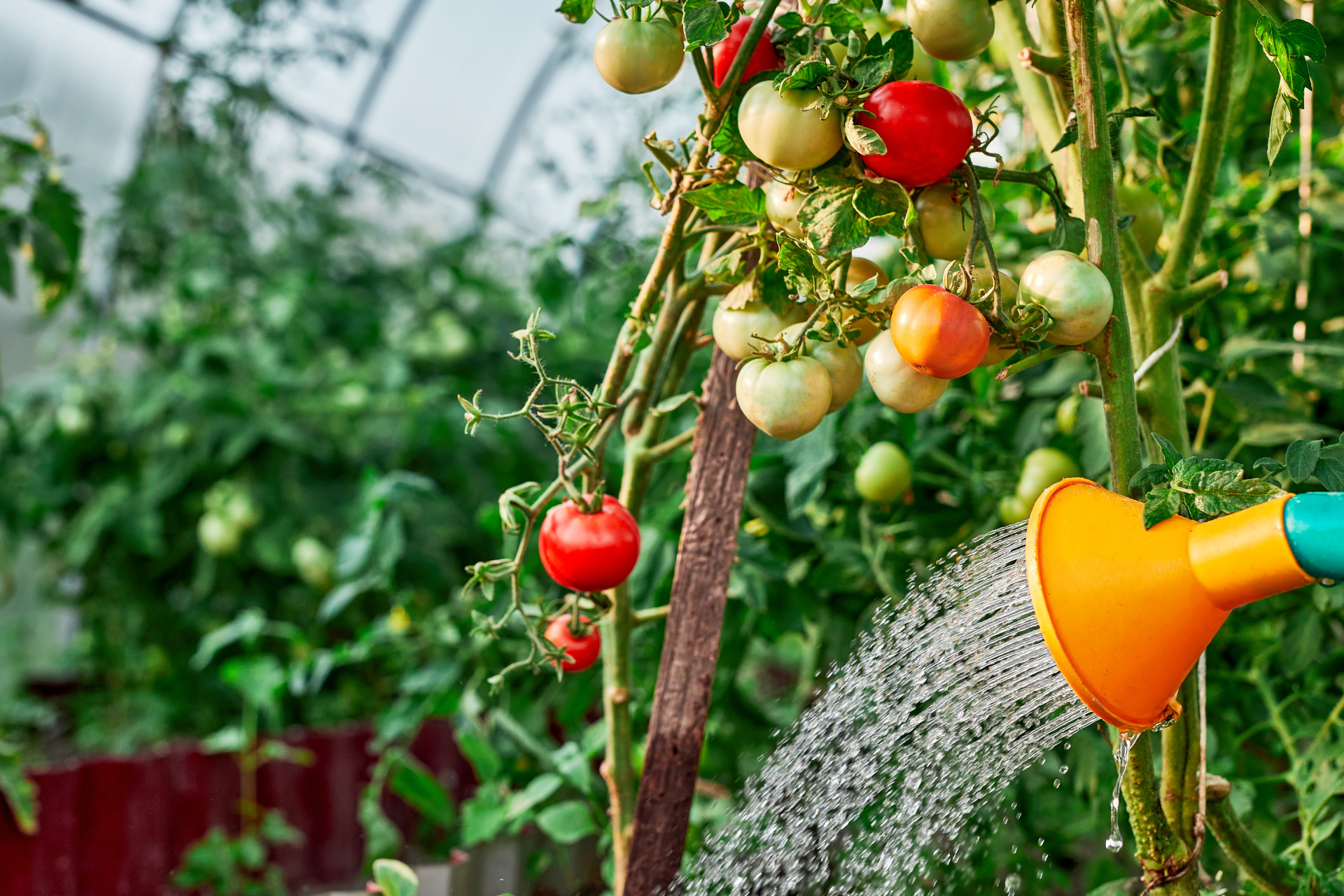 Irrigation Methods