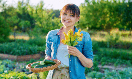 The Right Way to Harvest Zucchini and Their Tasty Flowers