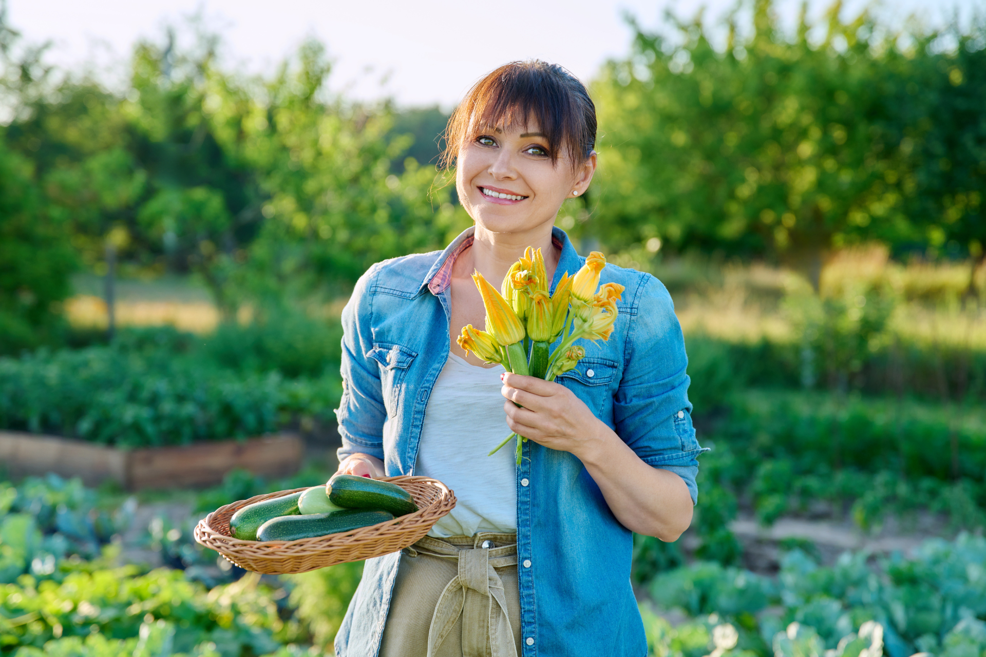 The Right Way to Harvest Zucchini and Their Tasty Flowers