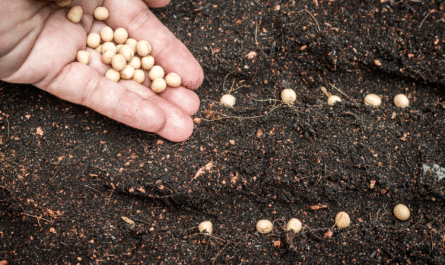 The Secret To Getting Plants To Germinate
