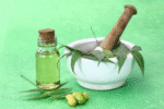 This is How to Correctly Apply Neem Oil in Your Garden