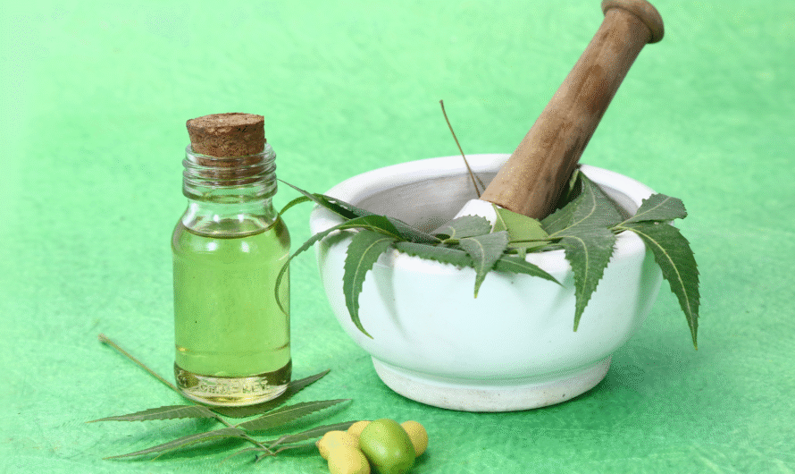This is How to Correctly Apply Neem Oil in Your Garden