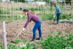 5 Easy Ways to Keep Your Soil Healthy and Fertile