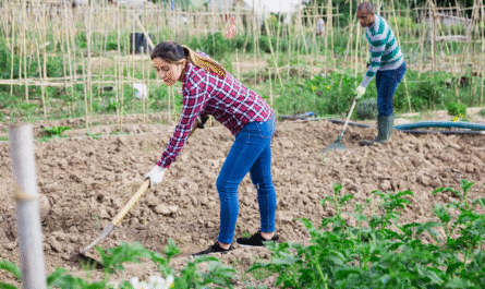 5 Easy Ways to Keep Your Soil Healthy and Fertile