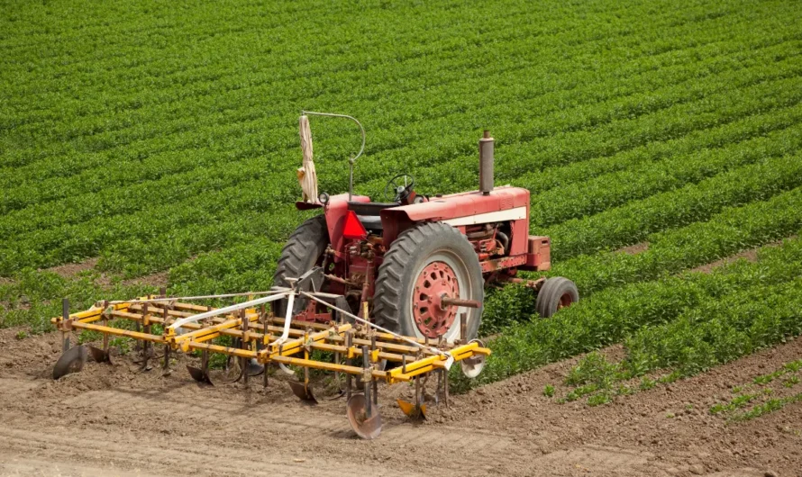 Alaska Lawmakers Push Back Hard as Dunleavy’s Executive Order to Create Agriculture Department Sparks Legal Fight