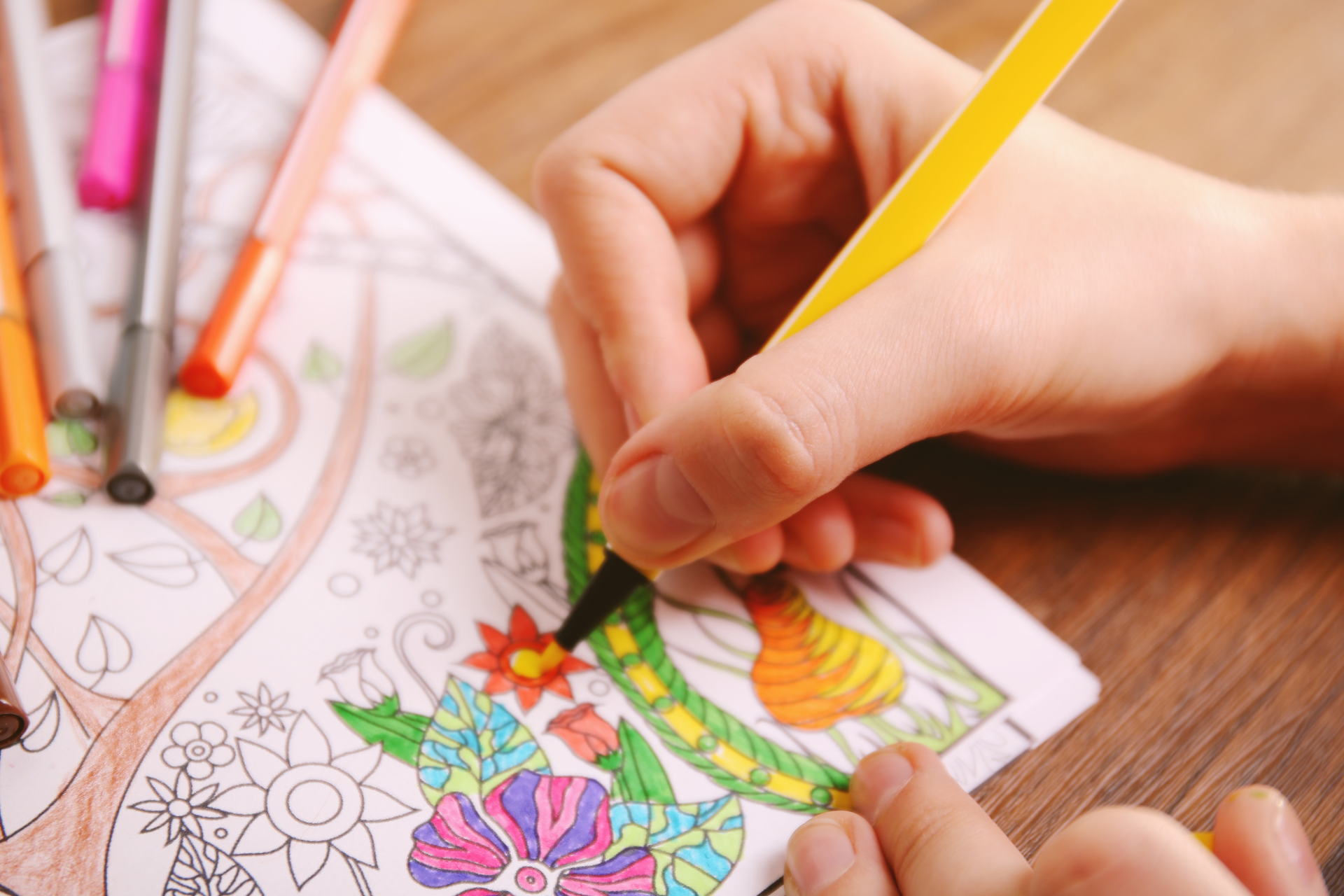 Coloring Books for Adults