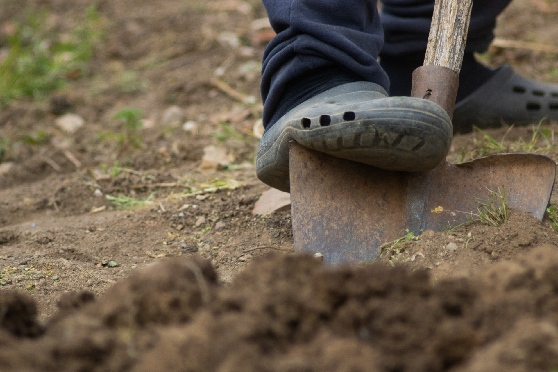 Feed the Soil, Not Just the Plants