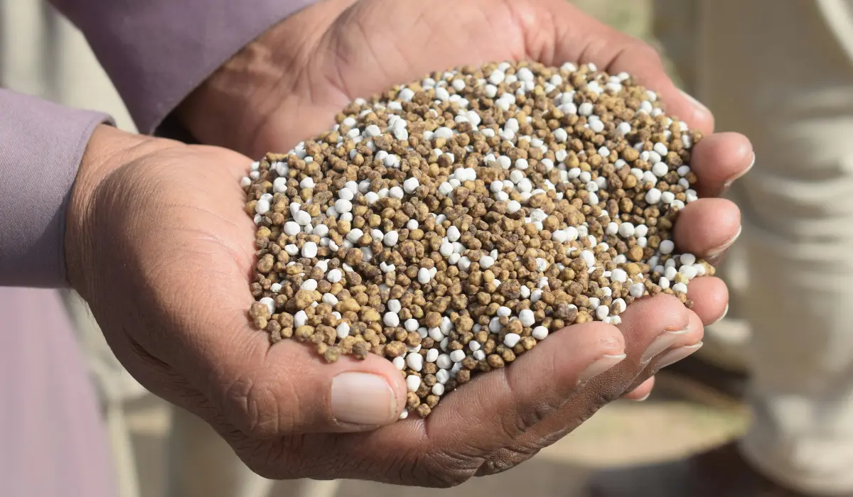 Fertilizer Tariffs Push U.S. Farmers to the Brink