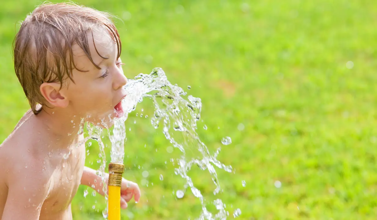 Heavy Metals and Microplastics in the Water