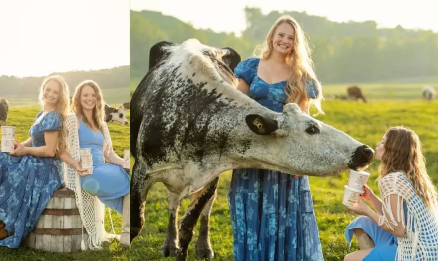 Painterland Sisters Secure 7-Figure Funding to Expand Skyr Yogurt Nationwide and Strengthen Organic Dairy Farming
