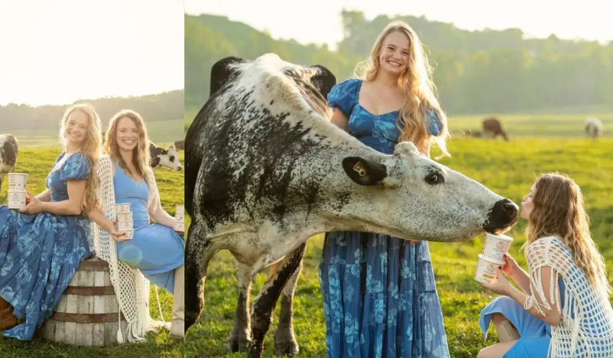Painterland Sisters
