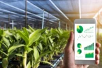 Regenerative Agriculture