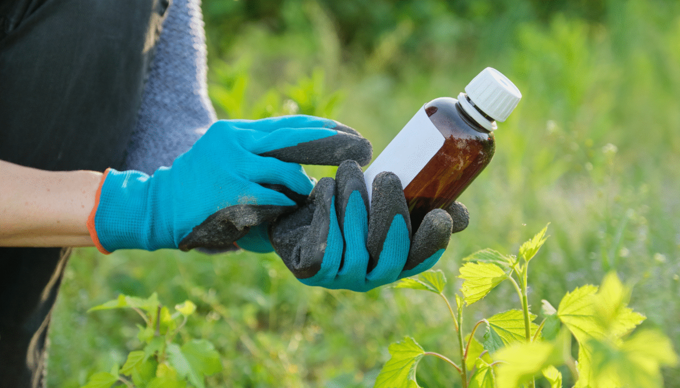 What Is Liquid Seaweed Fertilizer & Is It Right For Your Garden?