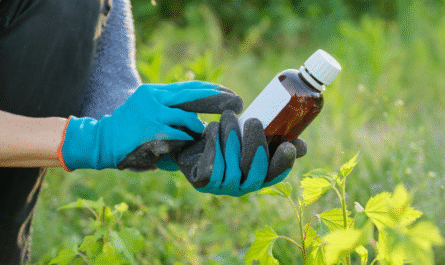 What Is Liquid Seaweed Fertilizer & Is It Right For Your Garden?