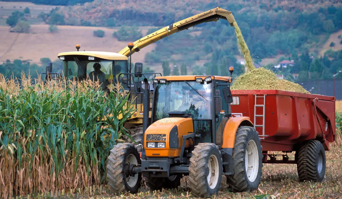 With Corn Prices at $3.90