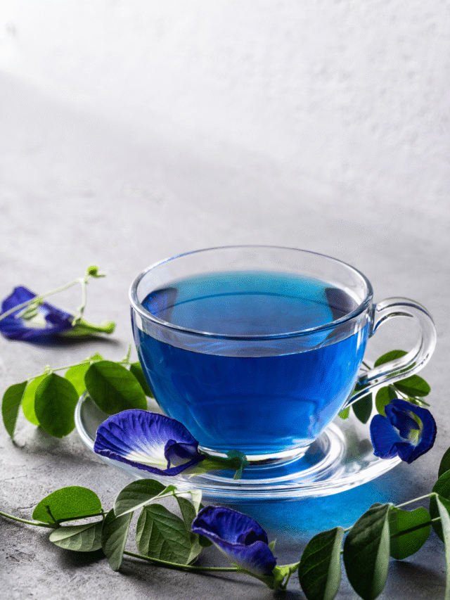 6 Butterfly Pea Flower Benefits