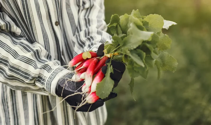 9 Must-Have Companion Plants for a Productive Fall Garden