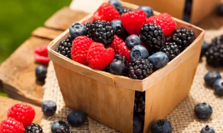 7 of the Best Berries to Eat for Antioxidants