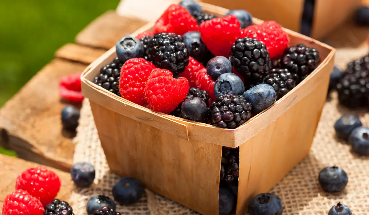 7 of the Best Berries to Eat for Antioxidants