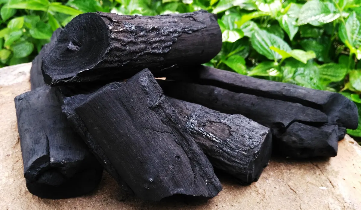 charcoal Fertilizer